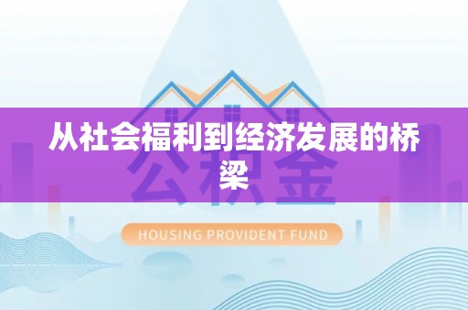 赤坎从社会福利到经济发展的桥梁