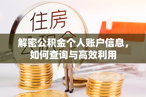 赤坎解密公积金个人账户信息，如何查询与高效利用