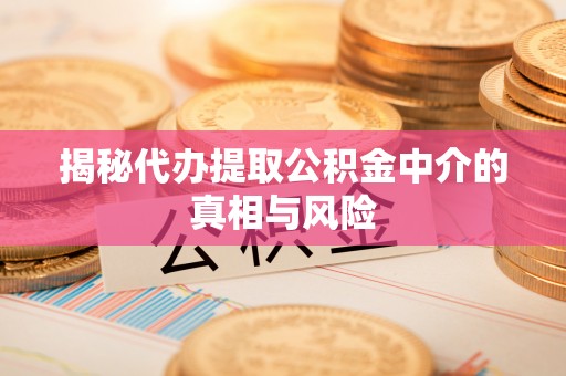 赤坎揭秘代办提取公积金中介的真相与风险