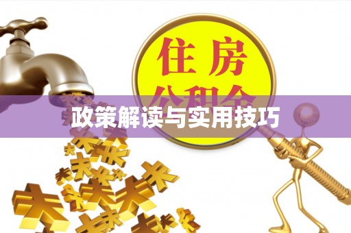 赤坎政策解读与实用技巧