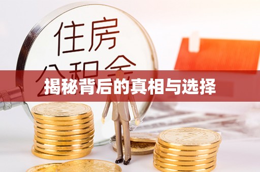 赤坎揭秘背后的真相与选择