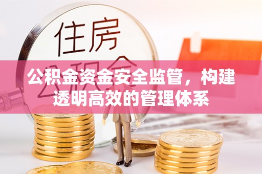赤坎公积金资金安全监管，构建透明高效的管理体系