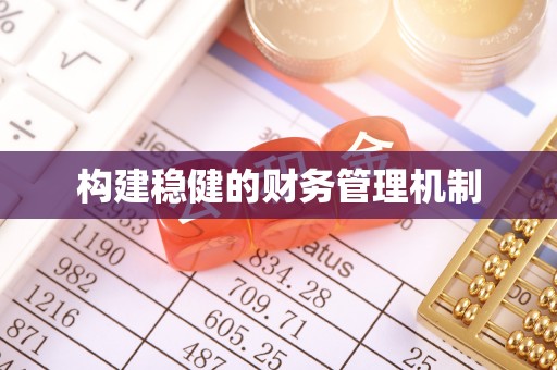 赤坎构建稳健的财务管理机制