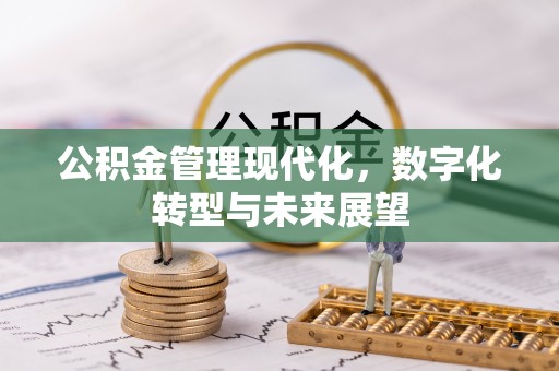 赤坎公积金管理现代化，数字化转型与未来展望