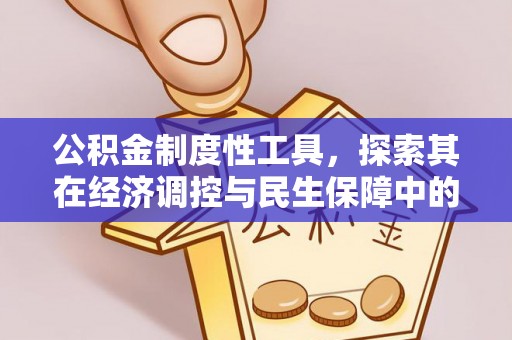 赤坎公积金制度性工具，探索其在经济调控与民生保障中的重要作用