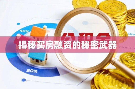 赤坎揭秘买房融资的秘密武器
