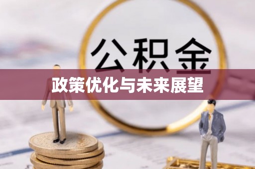 赤坎政策优化与未来展望