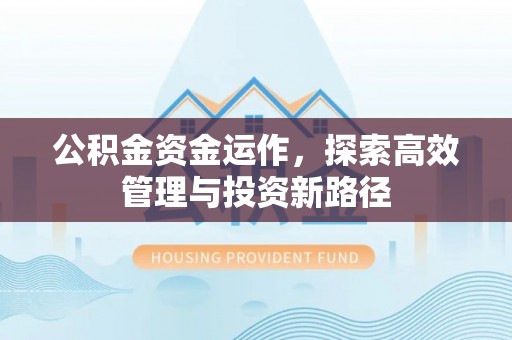 赤坎公积金资金运作，探索高效管理与投资新路径