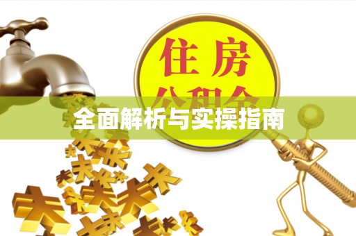 赤坎全面解析与实操指南